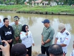 Restocking 33 Ribu Bibit Ikan di Mesuji, Bukti Komitmen Pemprov Lampung Jaga Ekosistem dan Tingkatkan Ekonomi Warga