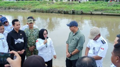 Restocking 33 Ribu Bibit Ikan di Mesuji, Bukti Komitmen Pemprov Lampung Jaga Ekosistem dan Tingkatkan Ekonomi Warga