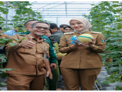 Wagub Jihan Panen Raya Melon Smart Greenhouse di SMK SPP Natar, Dorong Pendidikan Vokasi Berbasis Teknologi Pertanian Modern