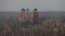 Gubernur Mirza Pastikan Kebakaran Terkendali, Tim Gabungan Cegah Api Masuk TN Way Kambas