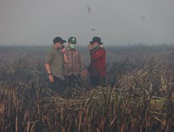 Gubernur Mirza Pastikan Kebakaran Terkendali, Tim Gabungan Cegah Api Masuk TN Way Kambas